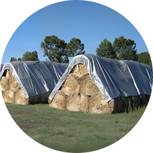 Architectural Membrane